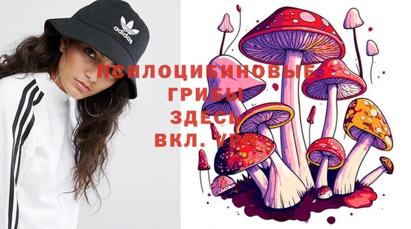 ECSTASY Горняк