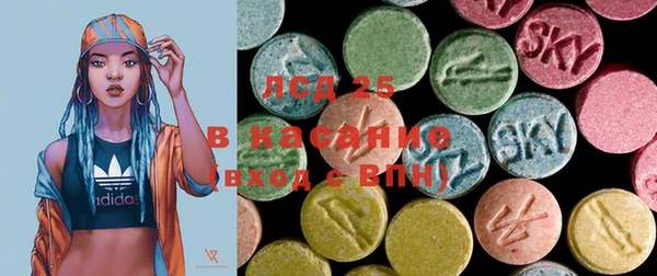 ECSTASY Горняк