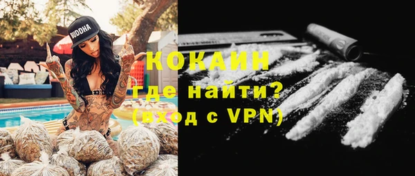 ECSTASY Горняк
