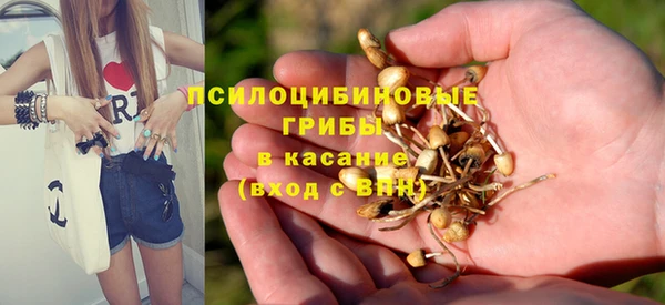 альфа пвп Горнозаводск
