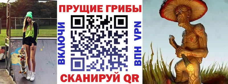 Галлюциногенные грибы Psilocybine cubensis  Купить где  Печора 